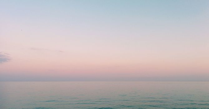 Medical Aesthetics / Injectables