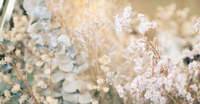 Medical Aesthetics / Injectables